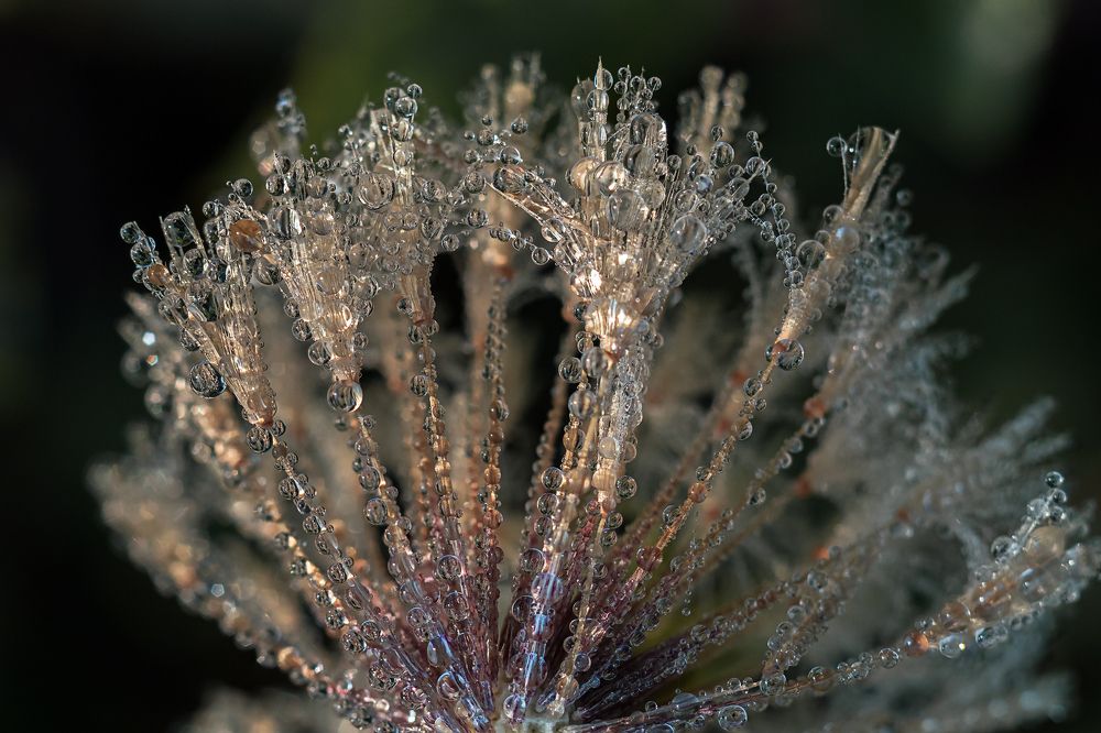 Photograph by Valdir Hobus