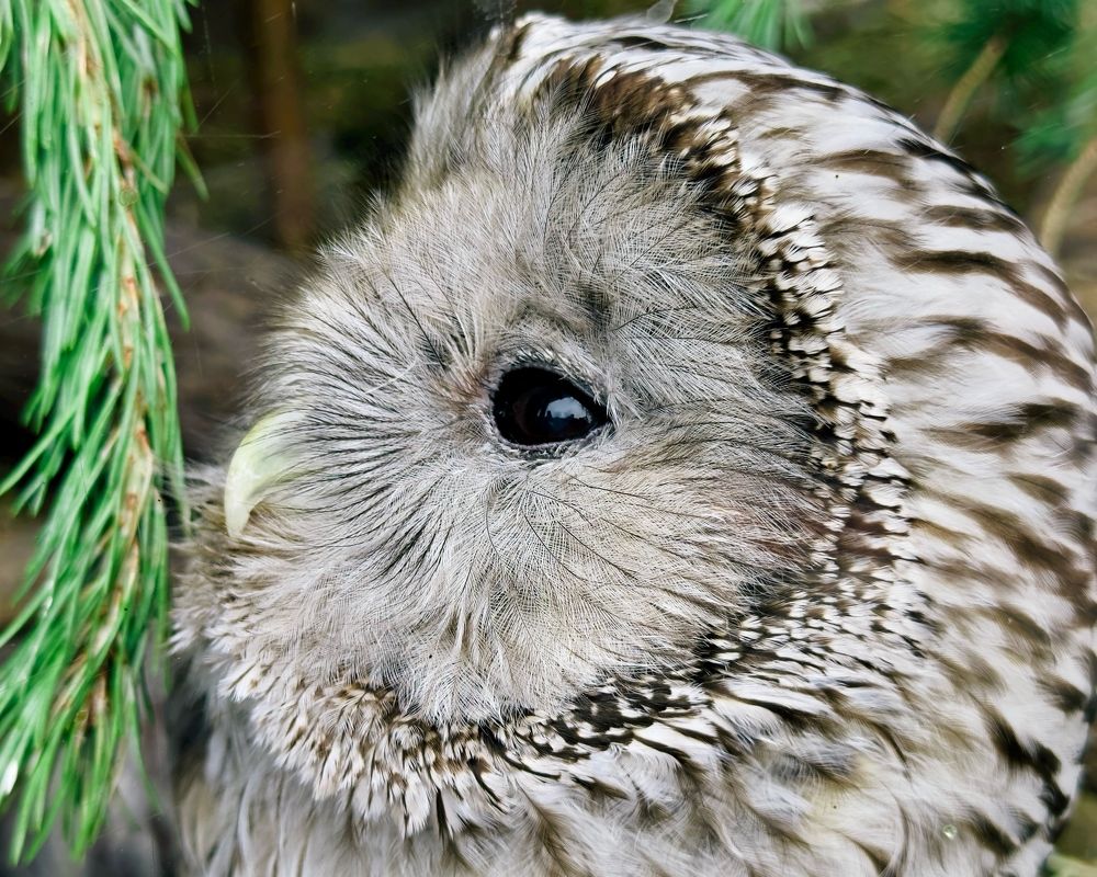 Photograph by Никита Петров