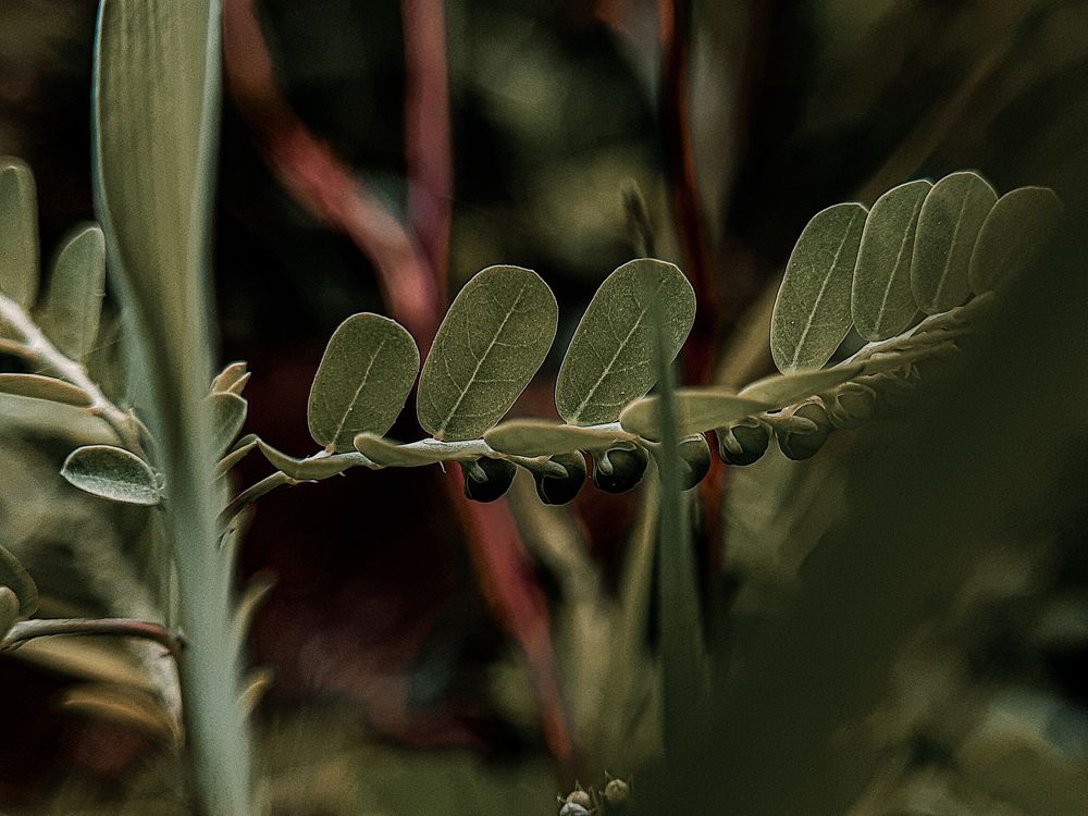Photograph by Arkaprabha Mandal