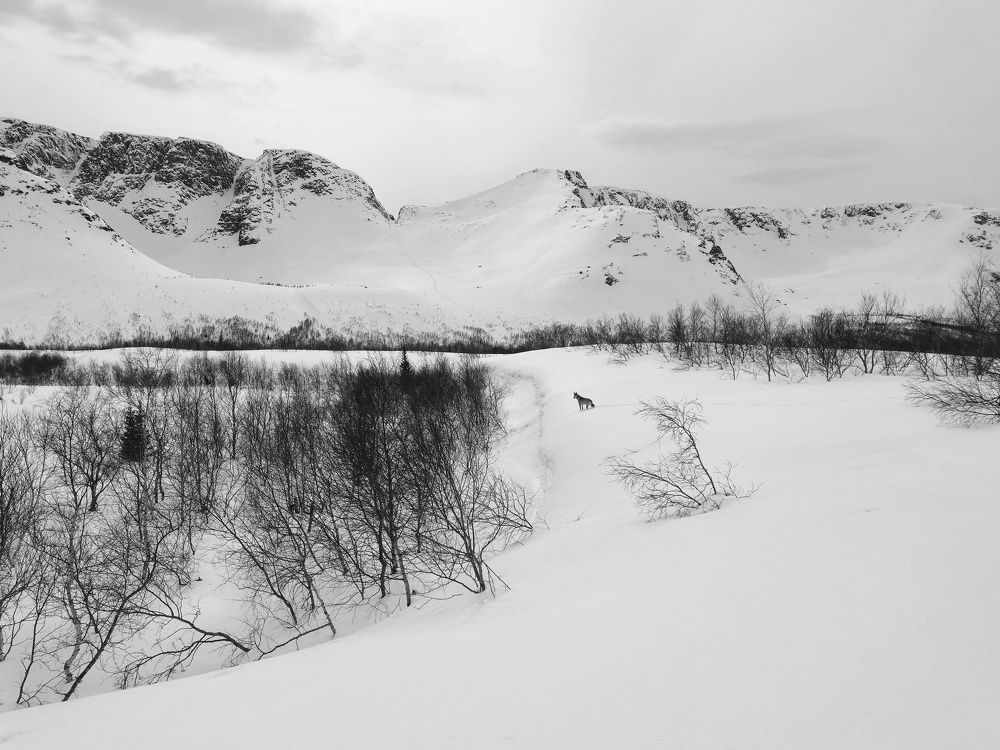Фотография автора Ольга Сорокина