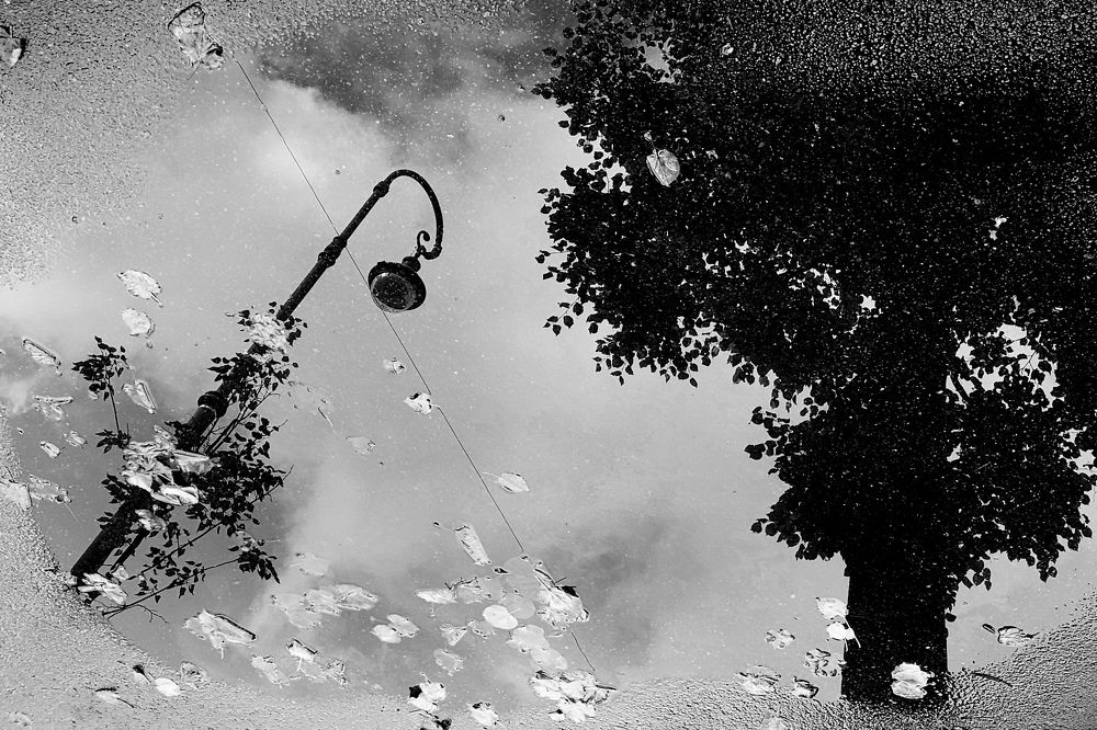 Photograph by Антон Лаба