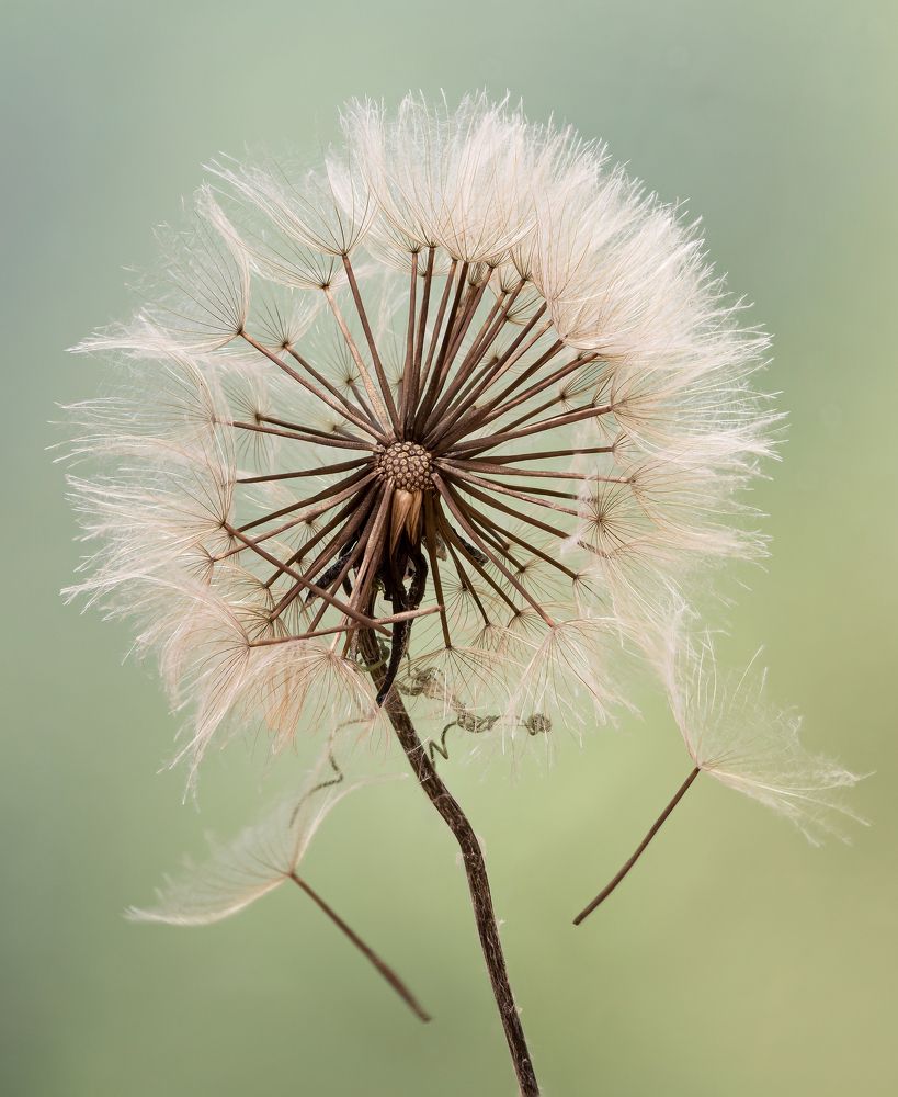 Photograph by Valdir Hobus