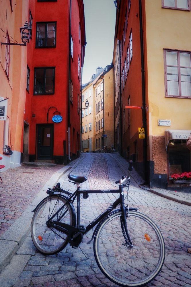 Photograph by Hanan Elmahmoudy