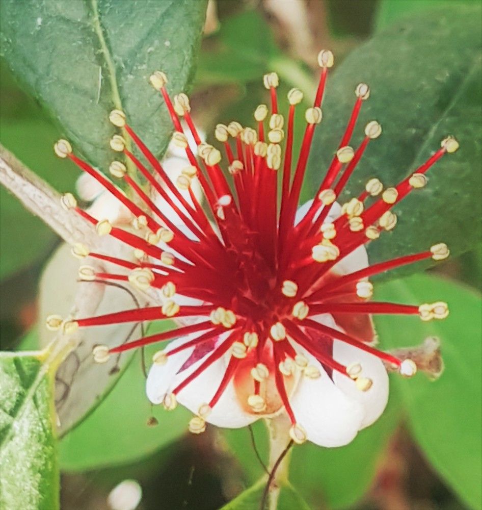 Фотография автора Ася Бабушкина