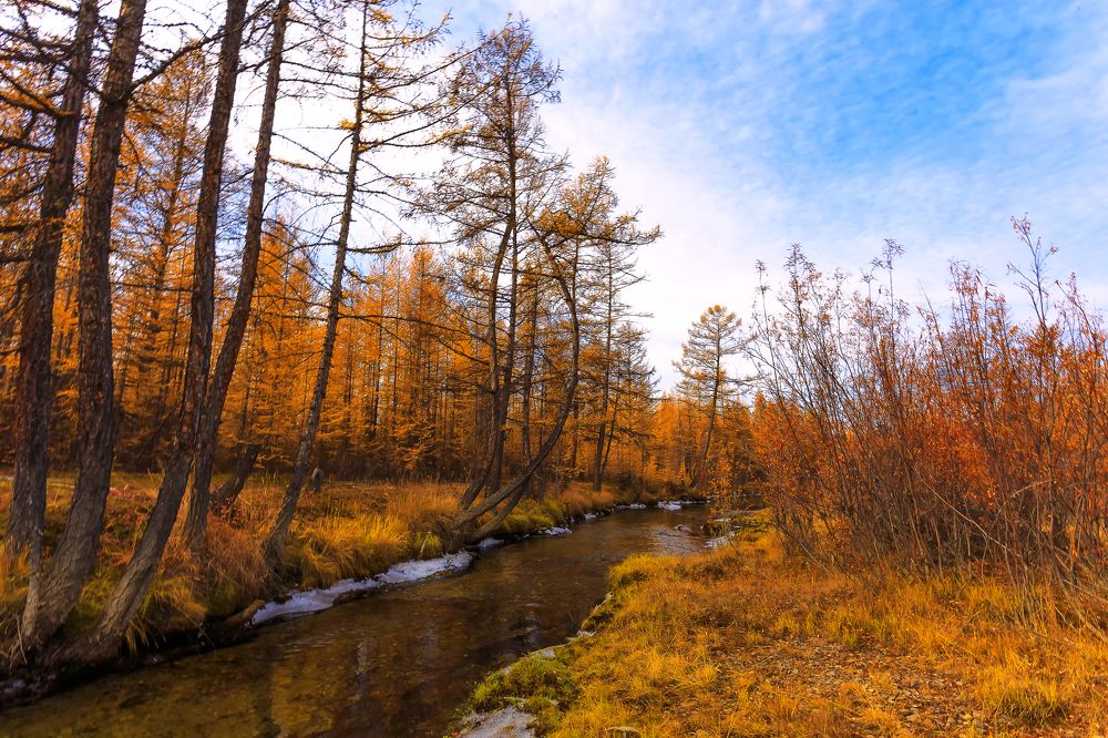 Осенний ручеек.