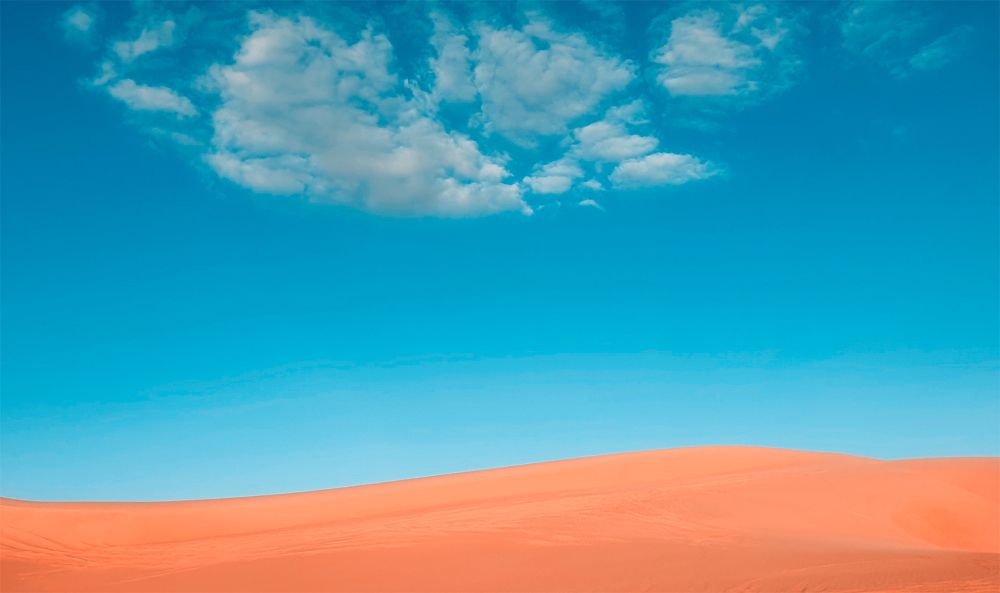 Photograph by Hanan Elmahmoudy