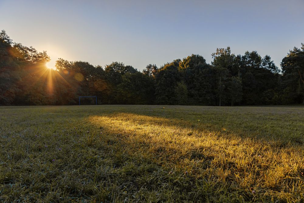 Photograph by Игорь Лейчонок