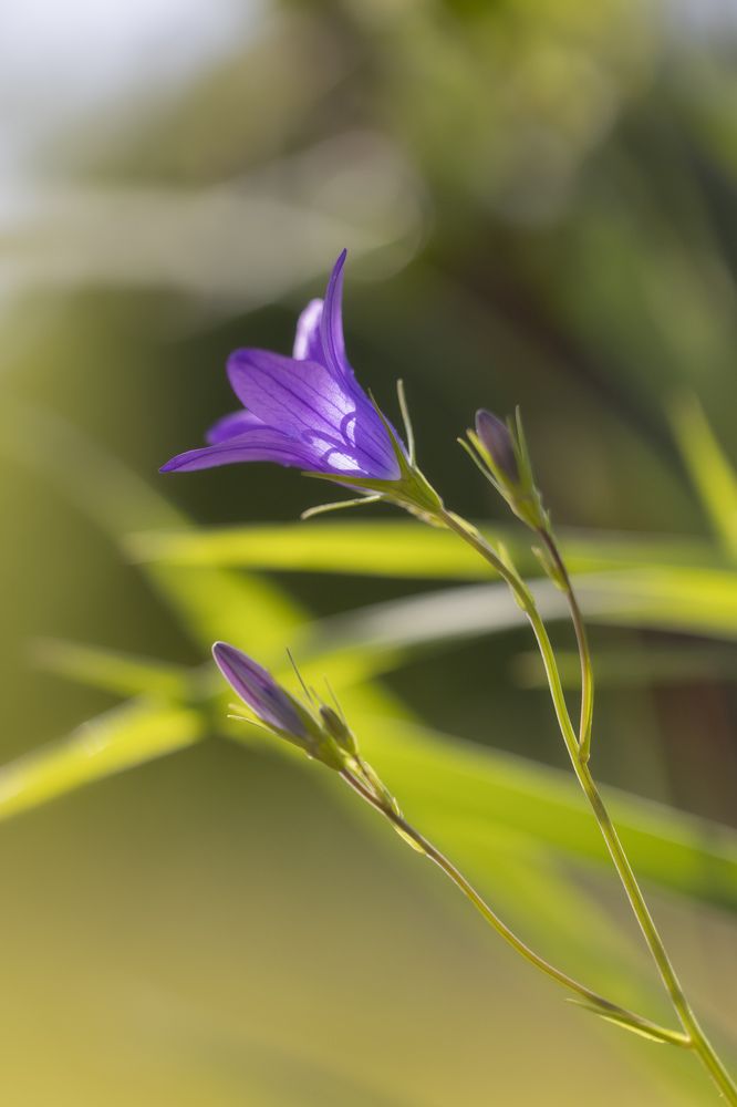 Photograph by Пономарев Илья
