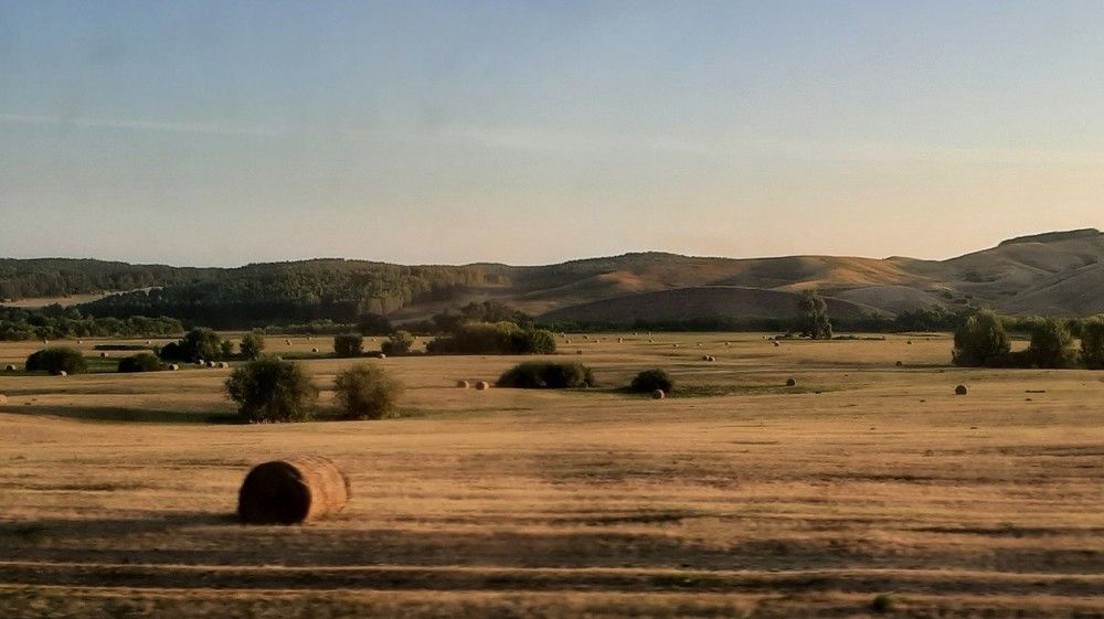 Фотография автора Анастасия Остапчук