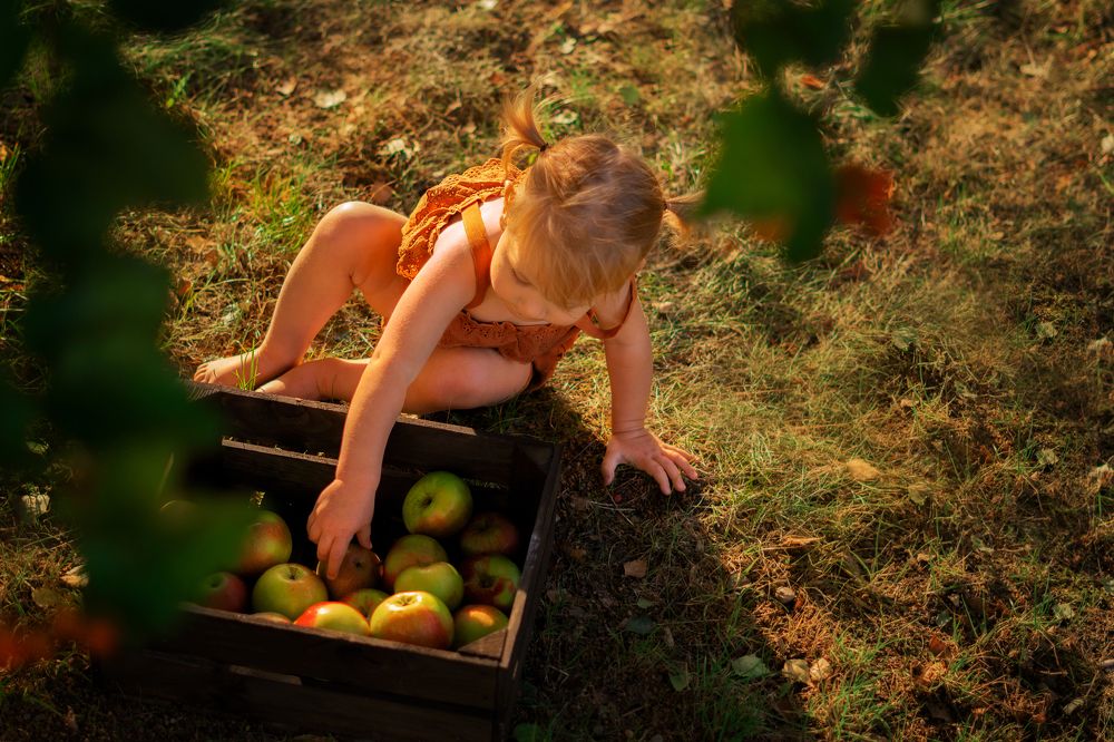 Photograph by Татьяна Стахеева