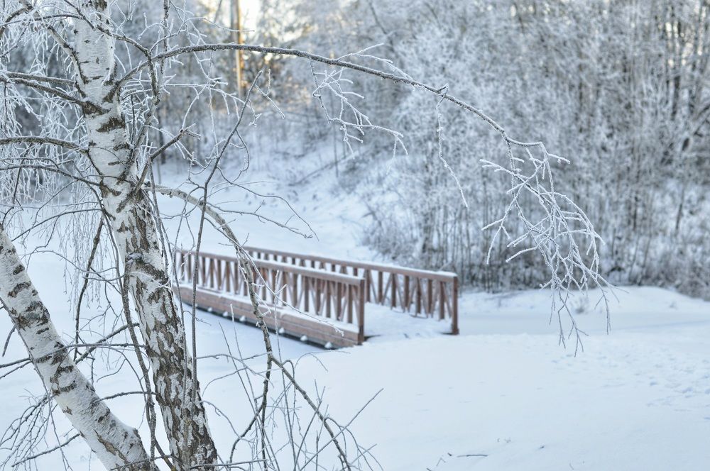 Photograph by Елена Квасова