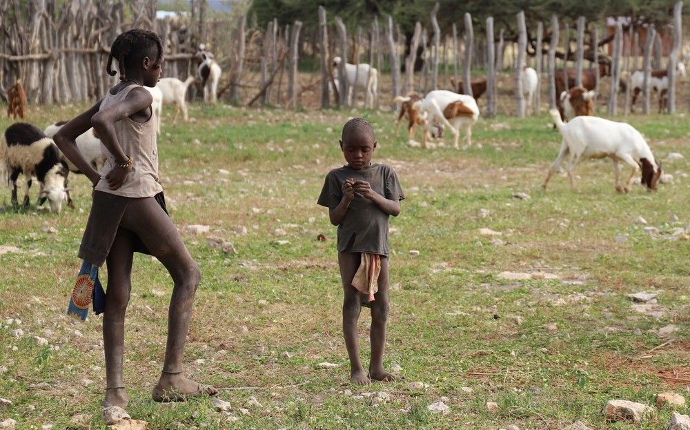 Photograph by Диана Жагрина