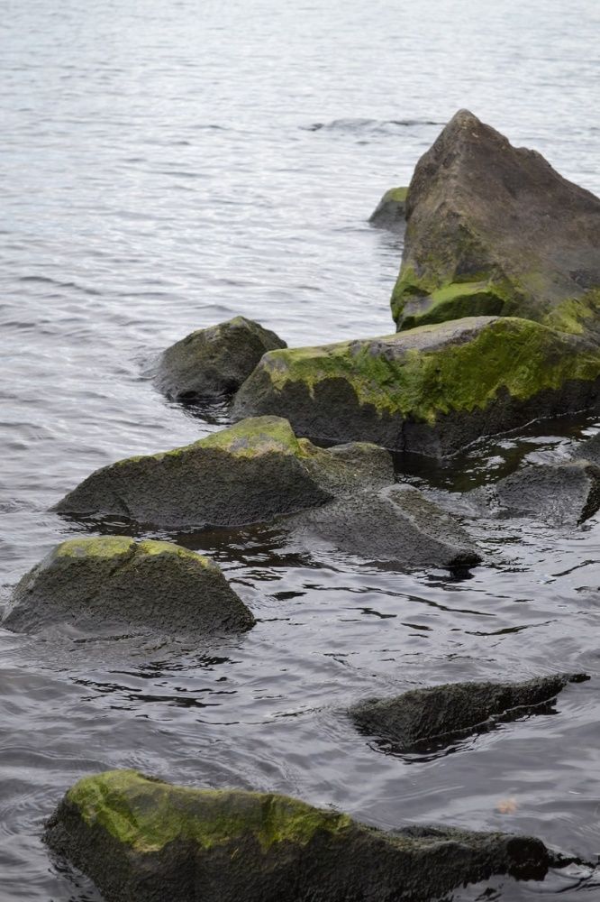 Фотография автора Анастасия Остапчук
