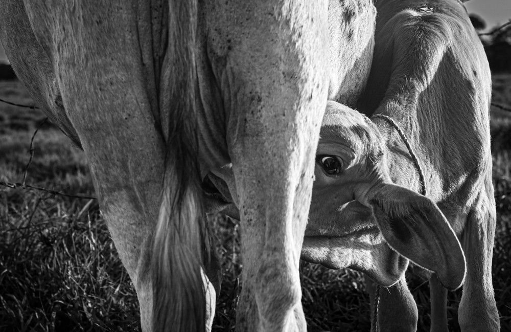 Фотография автора Lina María González Triana