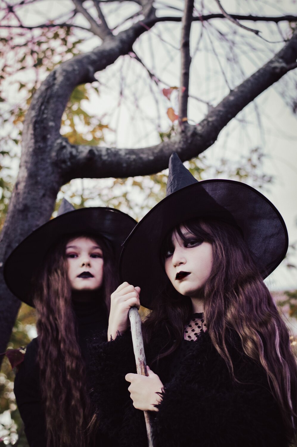 Photo #9564609