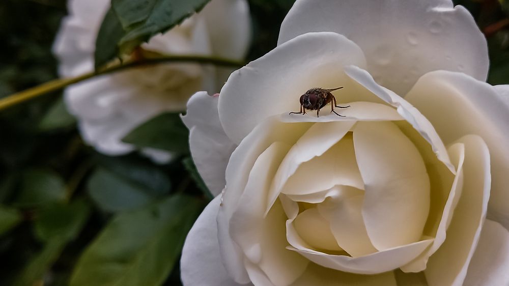 Photograph by mahdi ghanbari