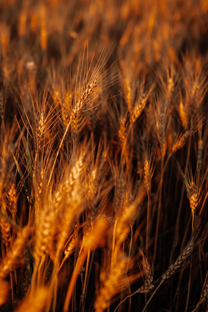 Photograph by Татьяна Скрипка