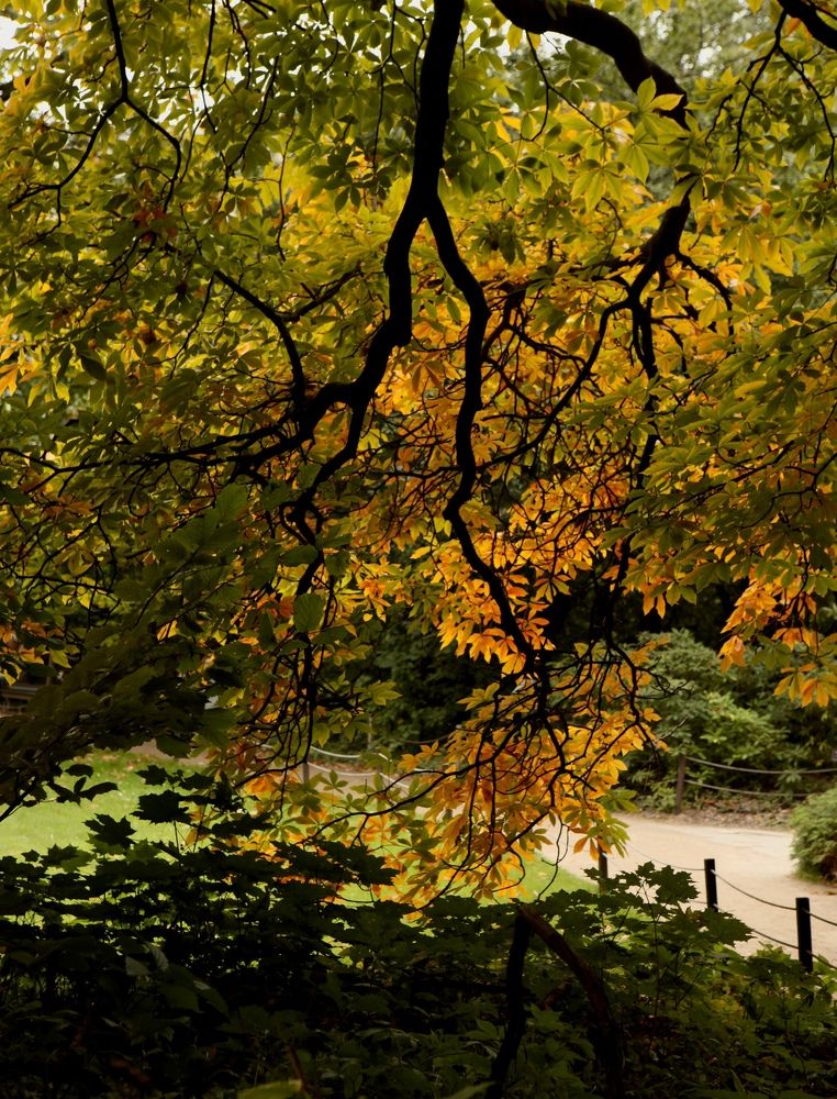 Фотография автора Galina Sa