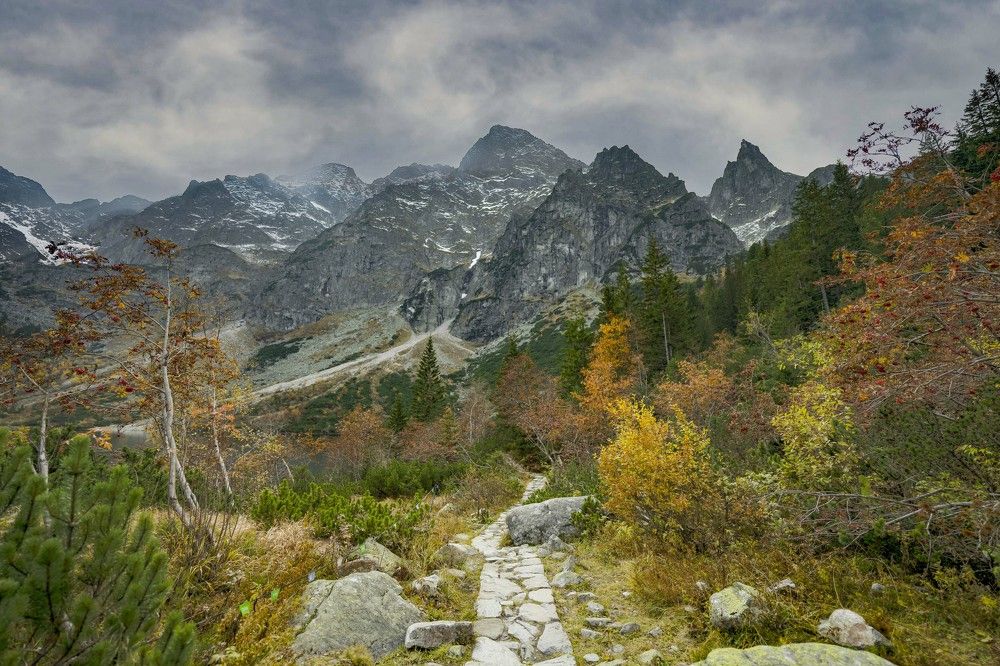 Фотография автора Kamil Knychalski