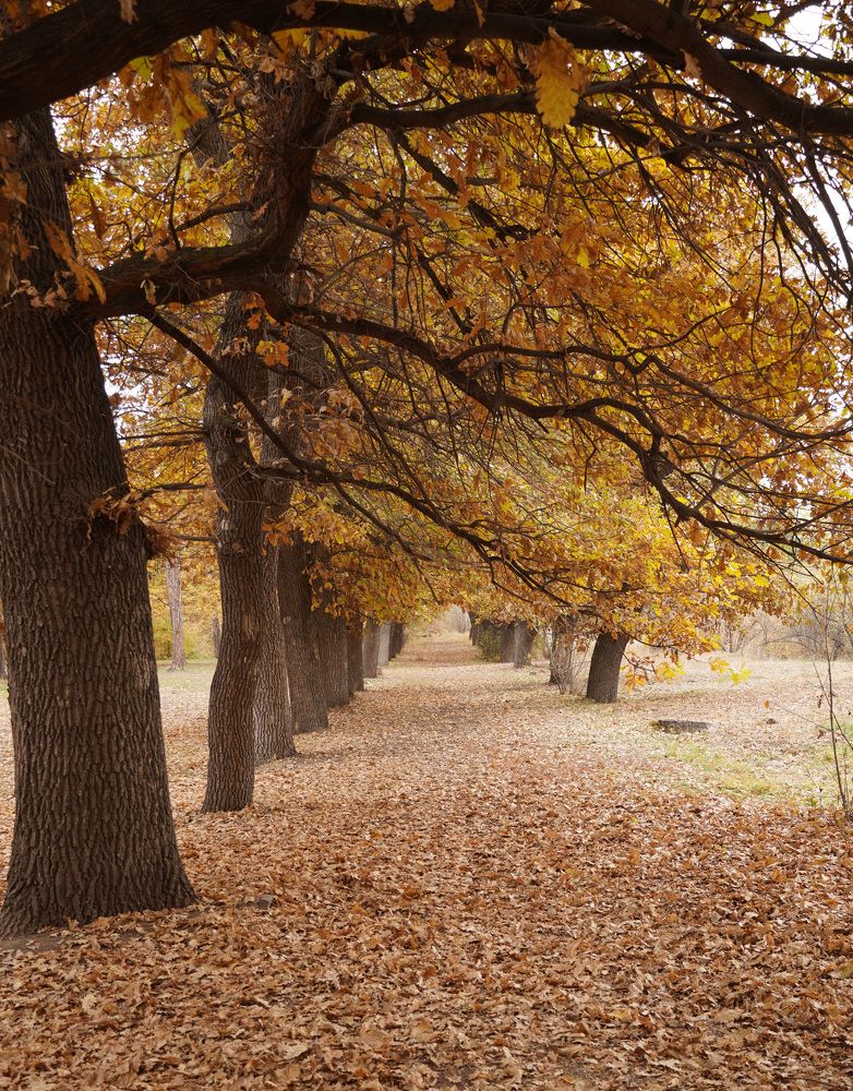Photograph by Евгения