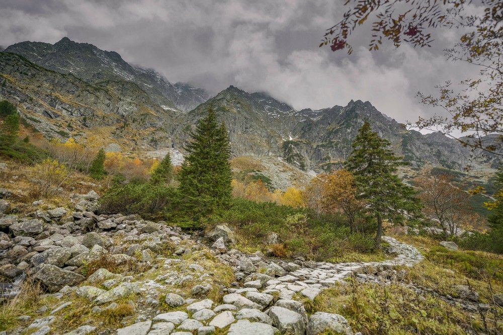 Фотография автора Kamil Knychalski