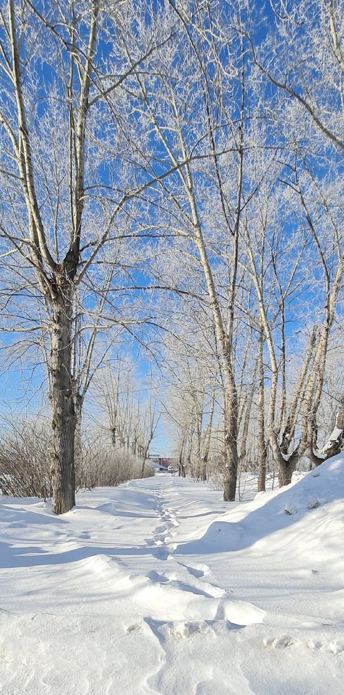 Фотография автора Анастасия Остапчук