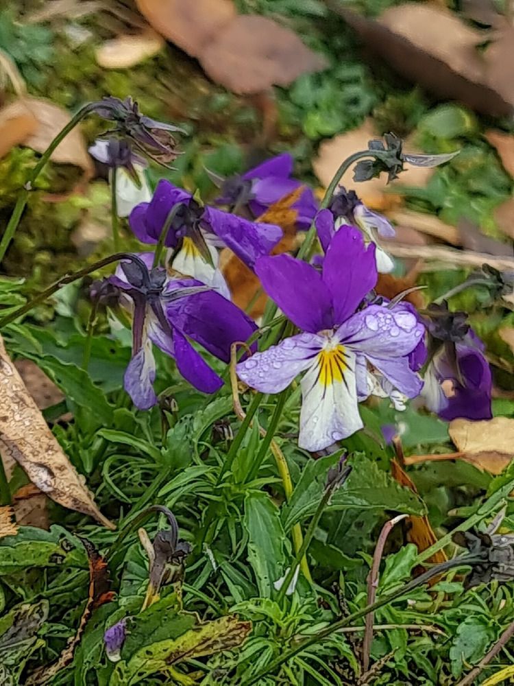 Фотография автора Анастасия Остапчук