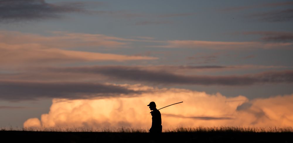 Фотография автора Oleg Suhenko