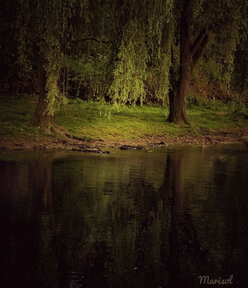 Photograph by Marisol Carrera Miguez