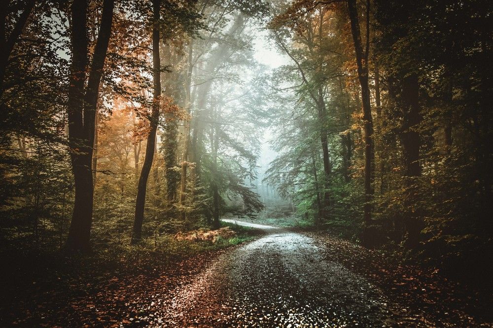 Photograph by Stipica Vrbat