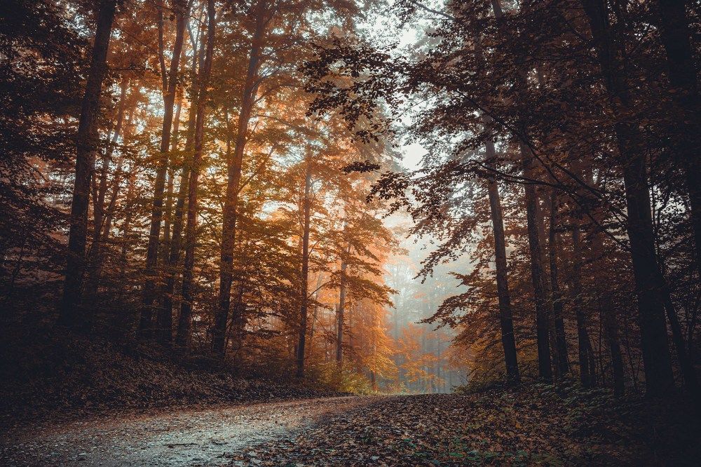 Photograph by Stipica Vrbat