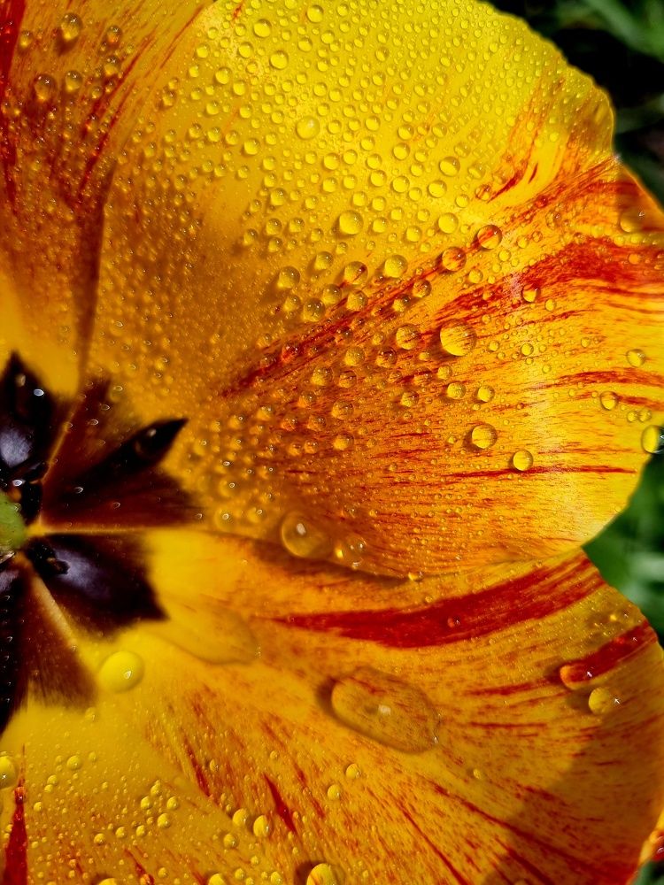 Photograph by Hanna Bourne