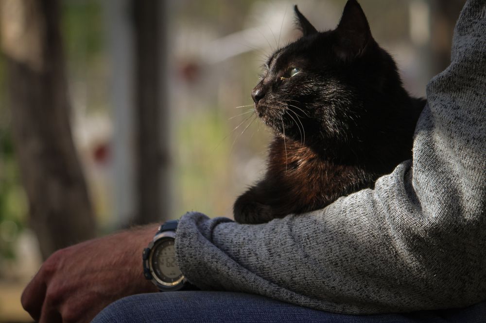 Фотография автора Ляшко Светлана