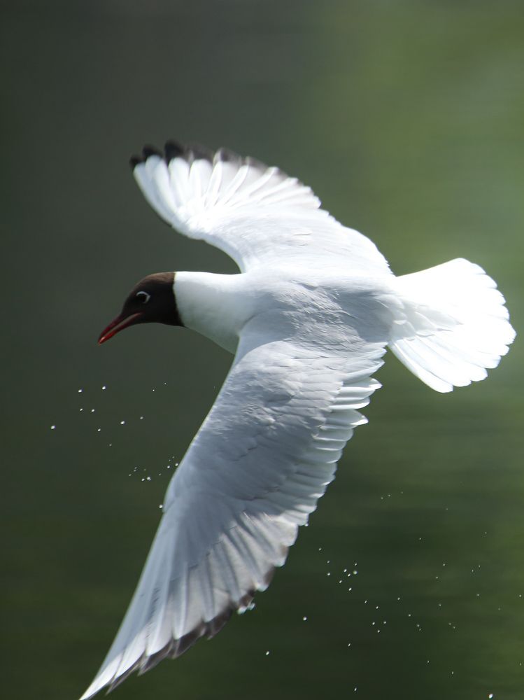 Photograph by Sergey Uskov