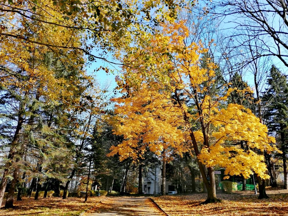 Photograph by Марина