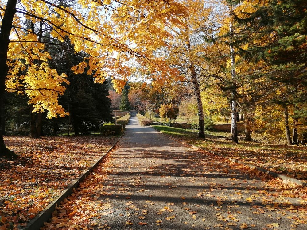 Photograph by Марина