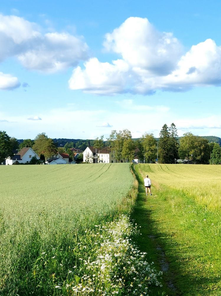 Фотография автора Alina Filimonova