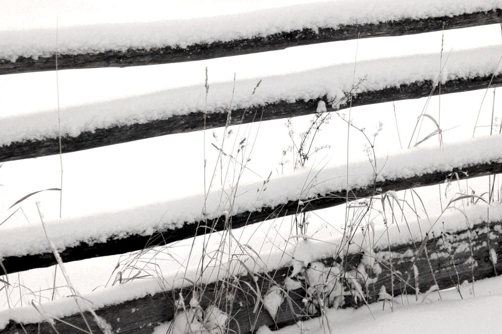 Photograph by Лада Денисова