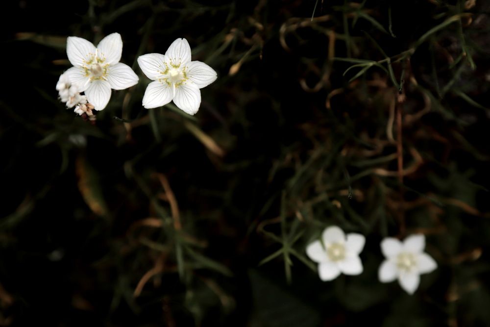 Photograph by Лада Денисова