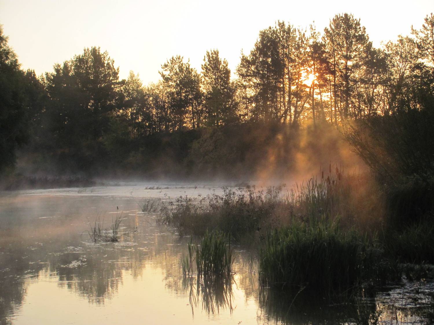Photo #9564837