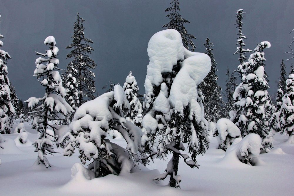 Photograph by Лада Денисова