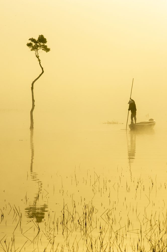 Photograph by Tran Khoa