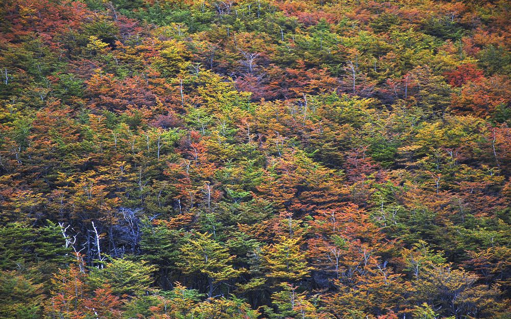 Photograph by Gabriel Cabott