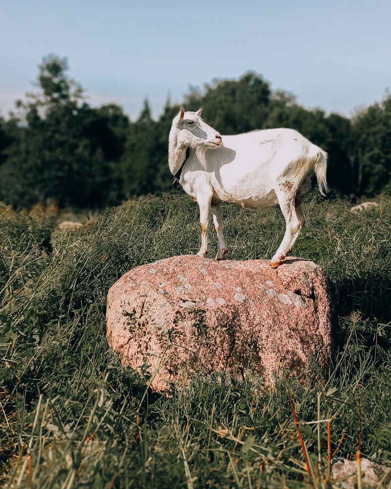 Photograph by Люда Яковлева