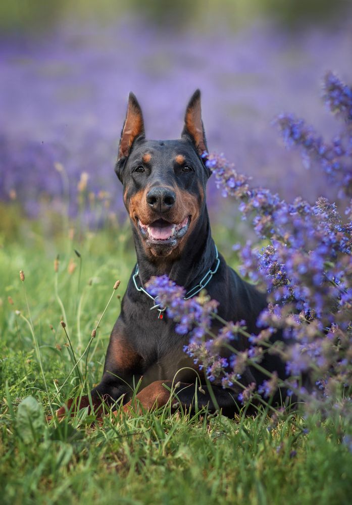 Photograph by Екатерина Лебедева