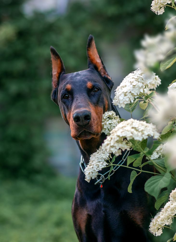 Photograph by Екатерина Лебедева