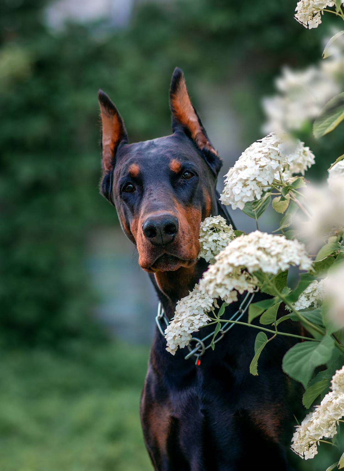 Фотография #9564985