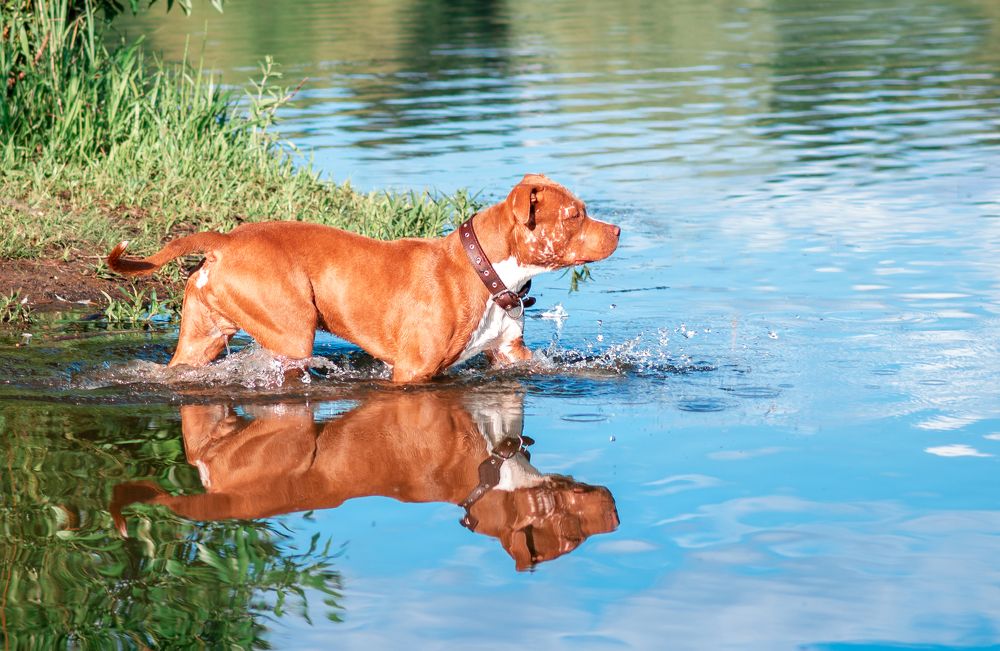 Photograph by Екатерина Лебедева