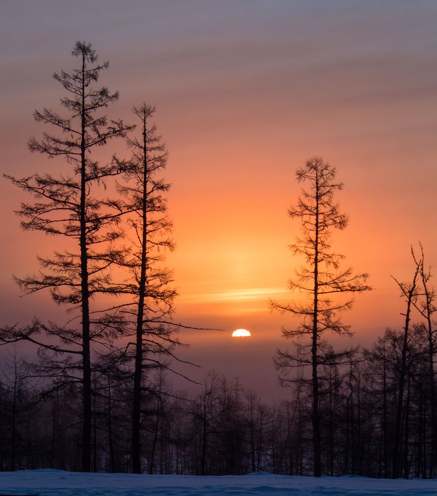 Photo #9565031