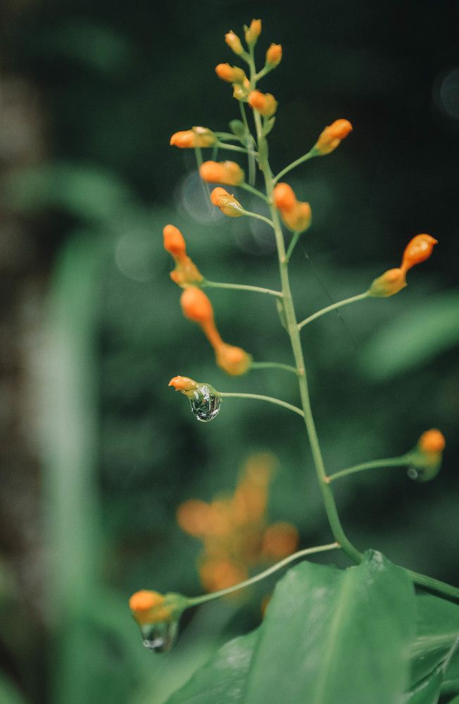 Photograph by Hoàng gia Huy